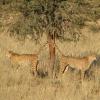IMG 7719A