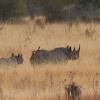 IMG 7927A
