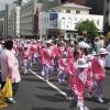IMG 7815