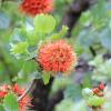IMG 4671