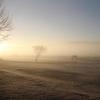 IMG 8411