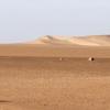 IMG 7377A