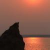 IMG 8531