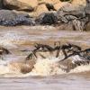 IMG 7847A